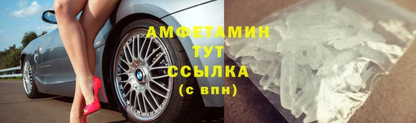 прущие грибы Арсеньев