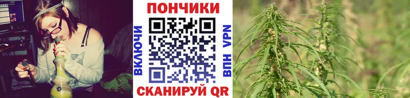Каннабис конопля  купить закладку  Правдинск 